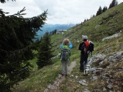 82 Scendendo sul 118 alla Baita di Monte Secco...